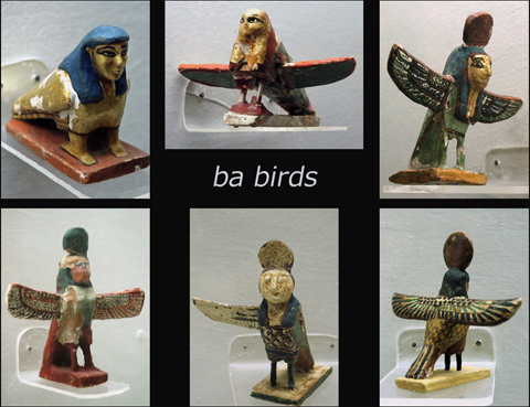 ba-birds1