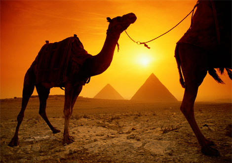 egypt_camel_sunset