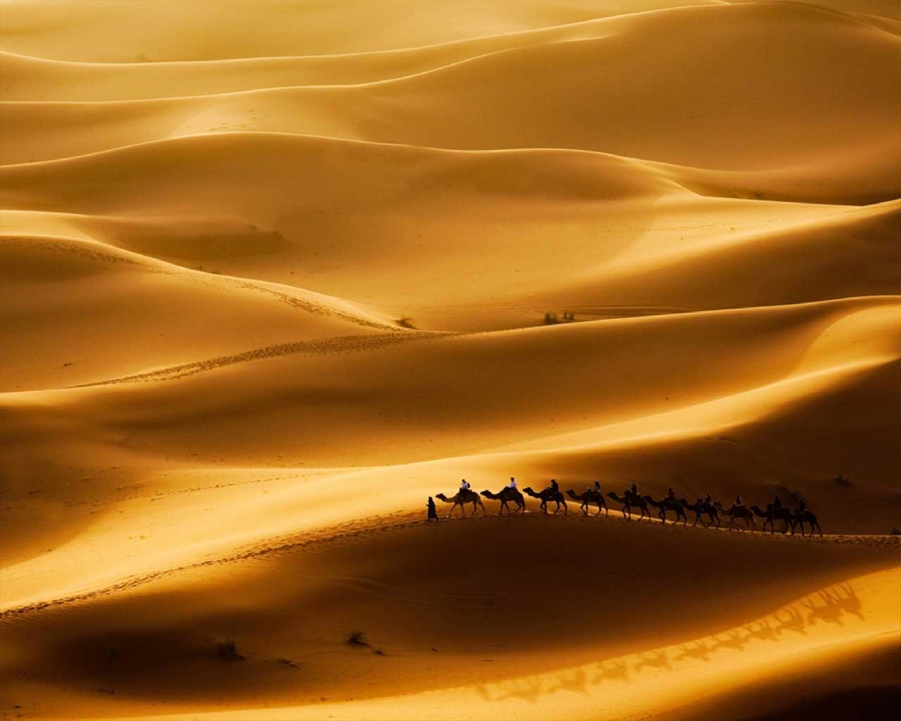 sahara